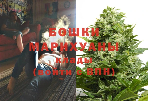 мдпв Белокуриха