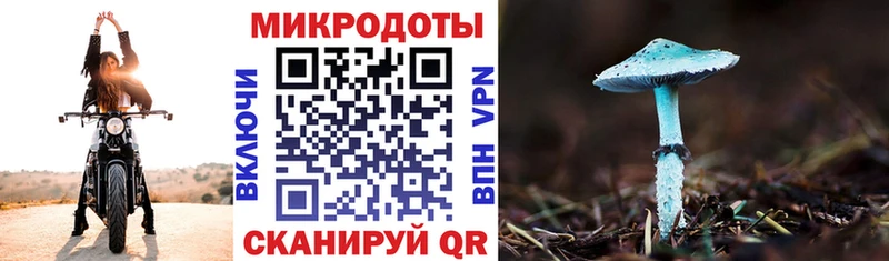 Галлюциногенные грибы Cubensis  продажа наркотиков  Яровое 